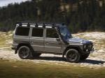 Mercedes-Benz G300 CDI Professional 2010 года